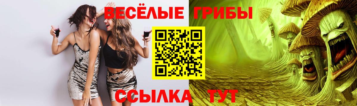 Галлюциногенные грибы Magic Shrooms  Вход с VPN  Ялта 